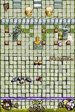 Image n° 3 - screenshots : Chicken Attack DS